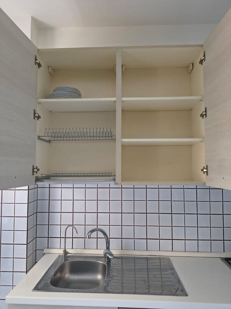 Cucina lineare con elettrodomestici