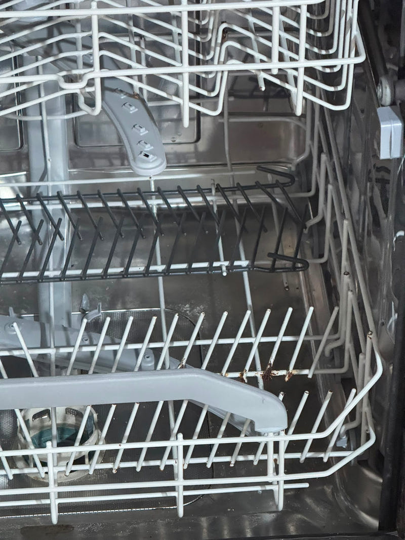 Cucina lineare con elettrodomestici