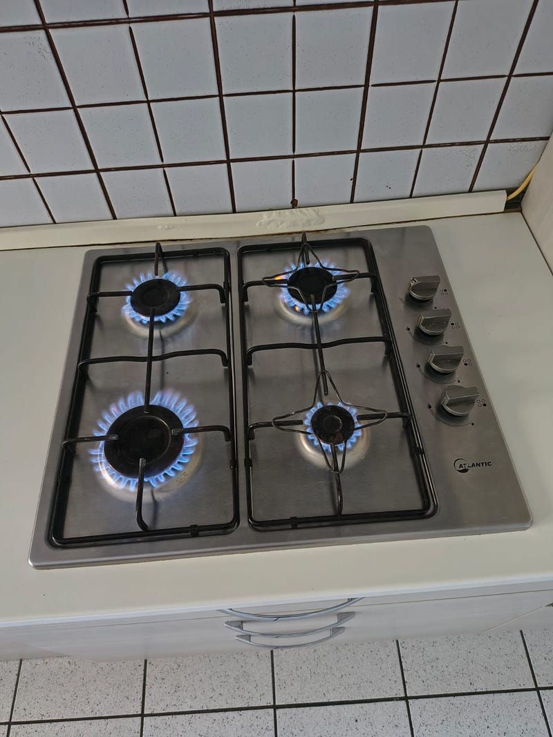 Cucina lineare con elettrodomestici